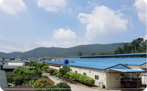 60만 수 규모의 자동화 농장